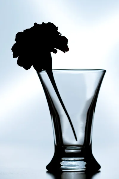 Silhouette d'une fleur dans un verre — Photo