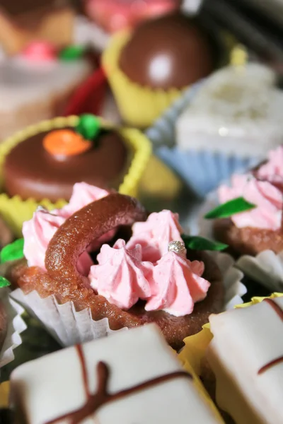 stock image Chocolate cookies