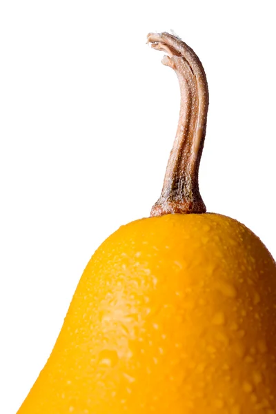 Zucca a pera con gocce d'acqua — Foto Stock