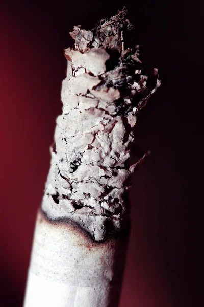 雪茄 — 图库照片