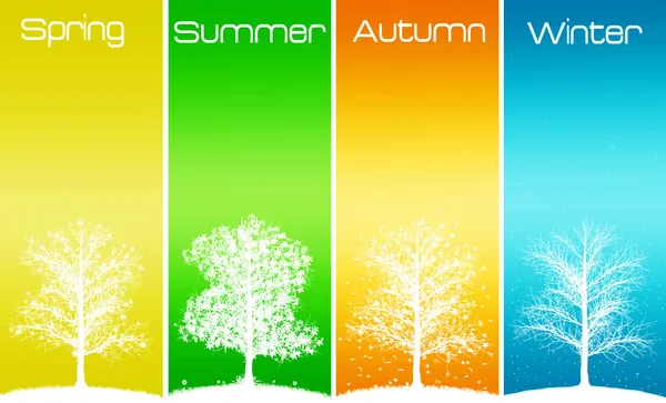 Four seasons trees — Stock Photo, Image