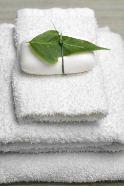 sabun ve spa koleksiyonu