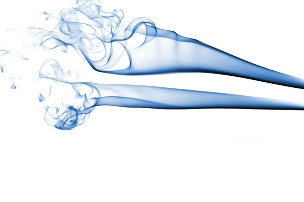 Blauwe rook geïsoleerd op wit — Stockfoto