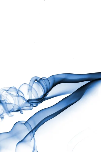 Blauwe rook geïsoleerd op wit — Stockfoto