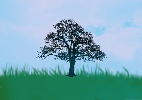 stock image Tree background