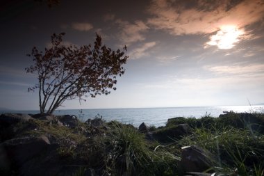 balaton Gölü-Macaristan