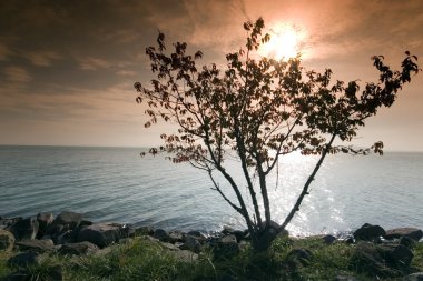 balaton Gölü-Macaristan