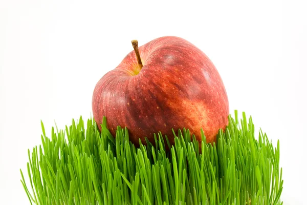 Apfel auf Gras — Stockfoto