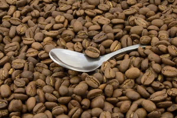 Coffee beans and spoon — Stock Photo, Image