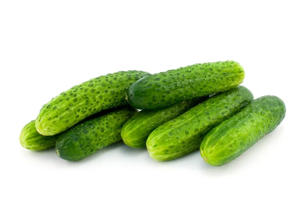 Grön gurka Stockfoto