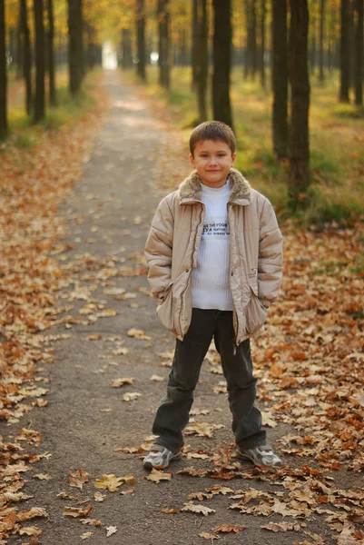 Um menino solitário na estrada no parque — Fotografia de Stock