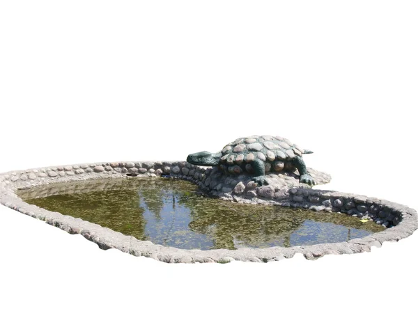 Steinschildkröte — Stockfoto