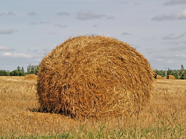 Autumn field and straw bale — Stock Photo, Image
