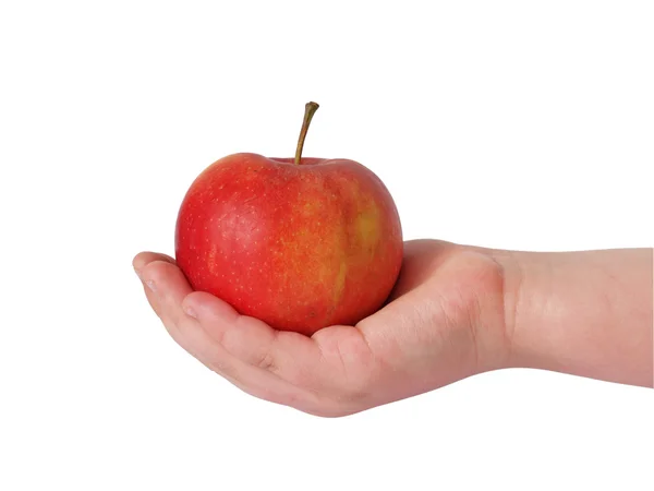 Apple in palms — Stock Photo, Image