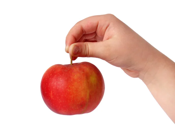 Apfel in Palmen — Stockfoto