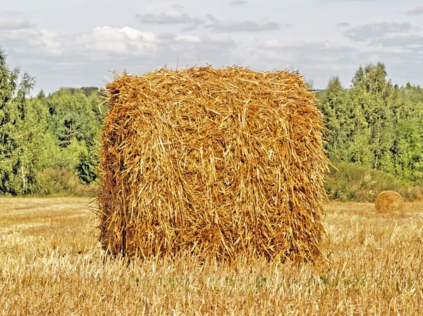 Autumn field and straw bale — Stock Photo, Image