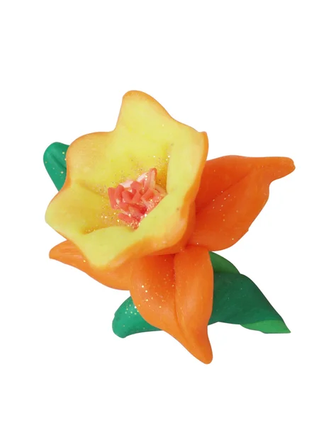Souvenir - a flower — Stock Photo, Image