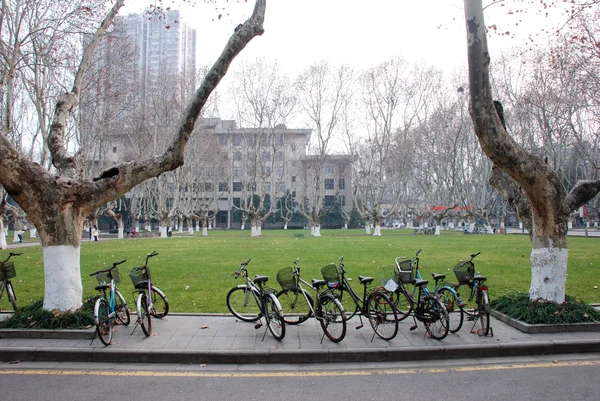 Building and green with grass in Campus