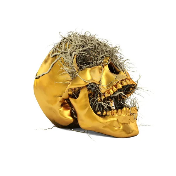 Золотий череп — стокове фото