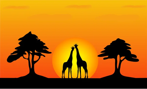 Giraffen - Safari Sonnenuntergang — Stockvektor