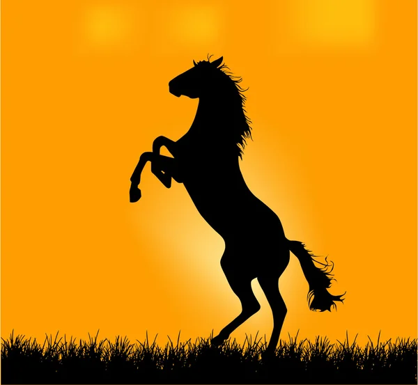 Άλογο πάθος — Διανυσματικό Αρχείο