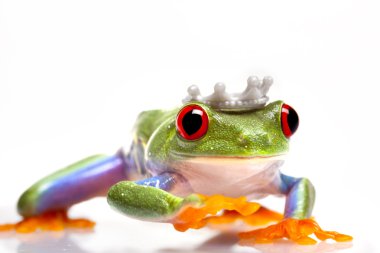 Frog Princess! clipart