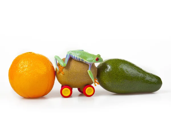 stock image Fruit Frog!