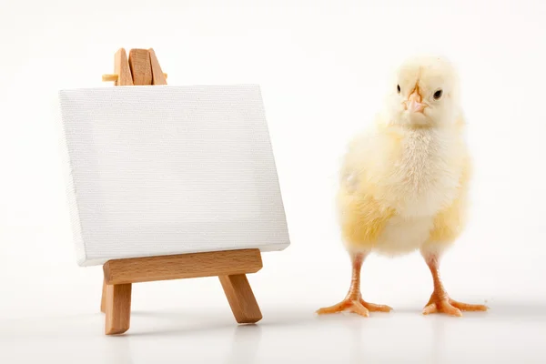 Easter Chick and Table — Stock Photo, Image
