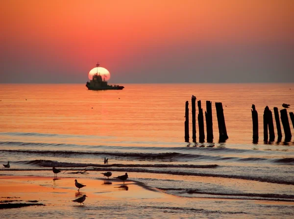 Baltiska kusten vid solnedgången — Stockfoto