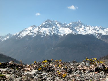 Spring in the Alps. clipart