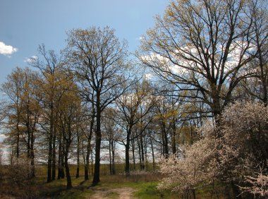 Bahar süre manzara