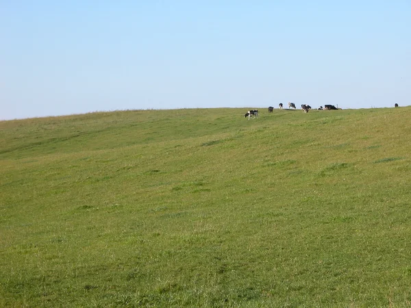 Stock image Rural landscape