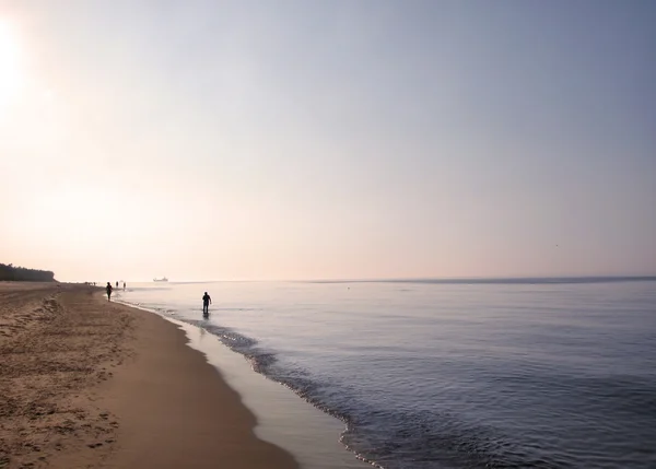 Stock image Baltic coast