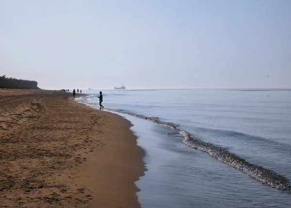 Stock image Baltic coast