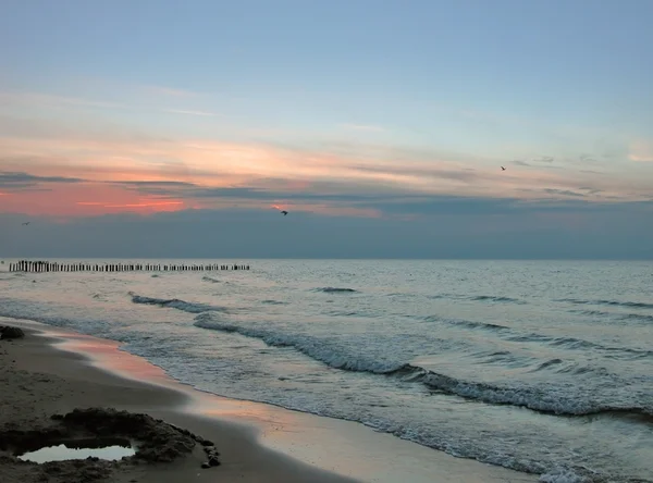 stock image Baltic coast