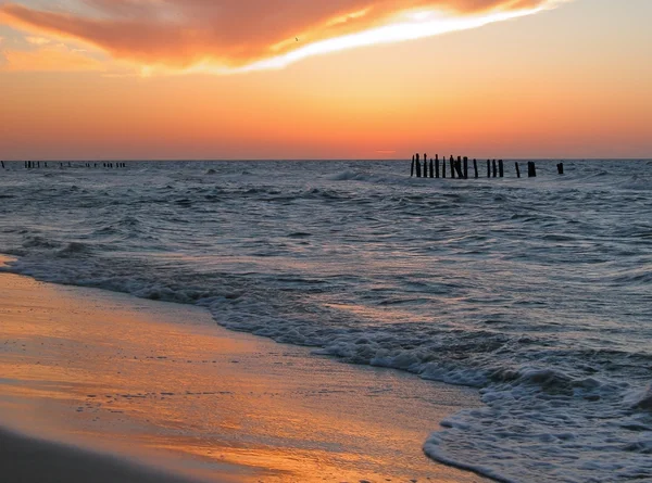 stock image Baltic coast