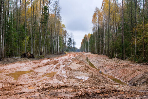 Грязная дорога в Латвии
