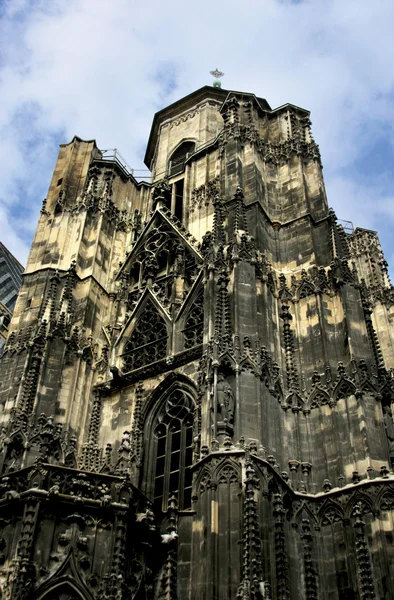 Cattedrale di Santo Stefano, Vienna — Foto Stock