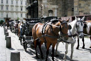 The famou tourist place in Vienna clipart