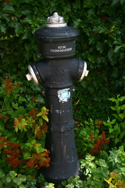 stock image The water pump on the park Graz, Austria