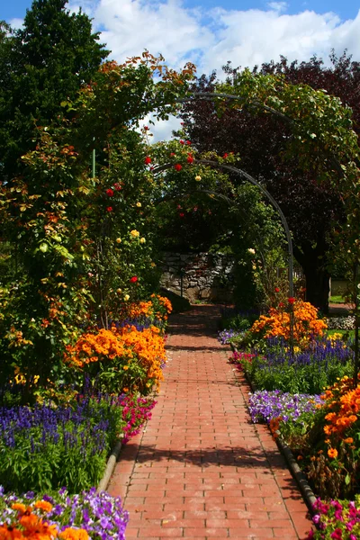 Arco de flores no jardim, Graz — Fotografia de Stock