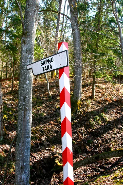 El sendero del bosque en Letonia —  Fotos de Stock