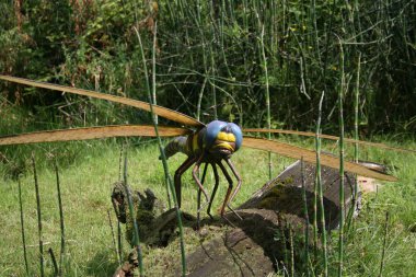 Bu sergi dino Park, Almanya