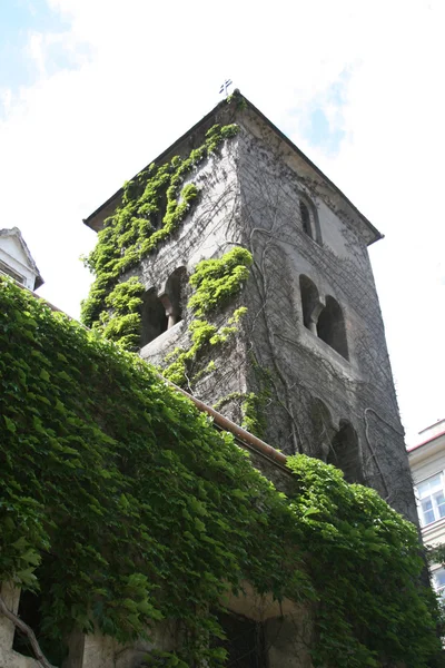 古いタワーのウィーン、オーストリア — ストック写真