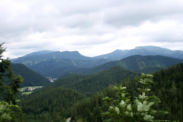 Blick auf den slowakischen Berg — Stockfoto