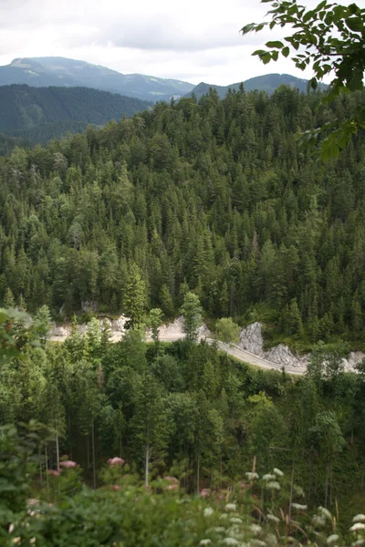 stock image View on road in Slovakia mountain's