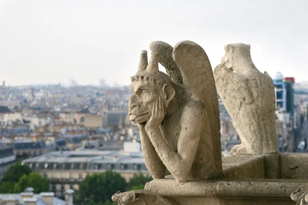 Gárgola de Notre Dame de Paris — Foto de Stock