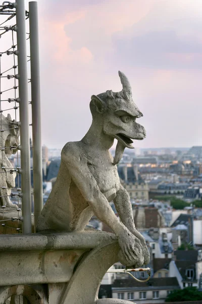 Άγαλμα της Νοτρ Νταμ de Παρίσι — Φωτογραφία Αρχείου