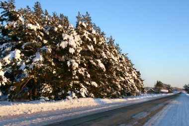 kırsal kış yol