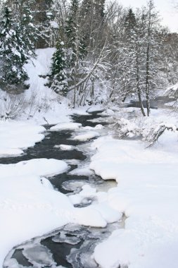 Winter landscape in Estonia clipart